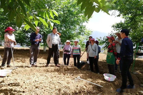 發展產業 助力脫貧 農產品種植帶領群眾致富奔小康