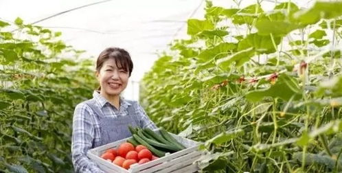 三產融合，共贏未來 如何將休閑農業、鄉村旅游與有機農產品種植打造成最佳營銷組合