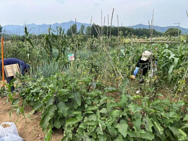 夜半驚雷，密云農場在洪水中失守